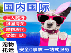 巴彦淖尔航空货运国际宠物托运 【国